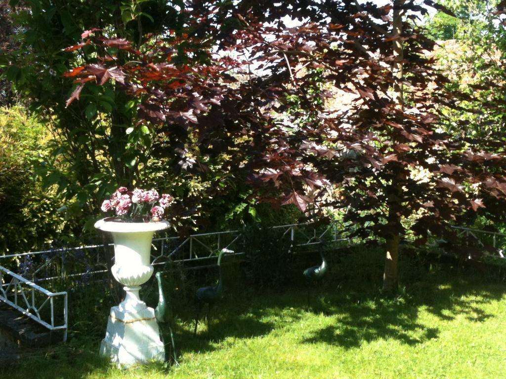 Charlemont House Moy Bed & Breakfast Eksteriør bilde