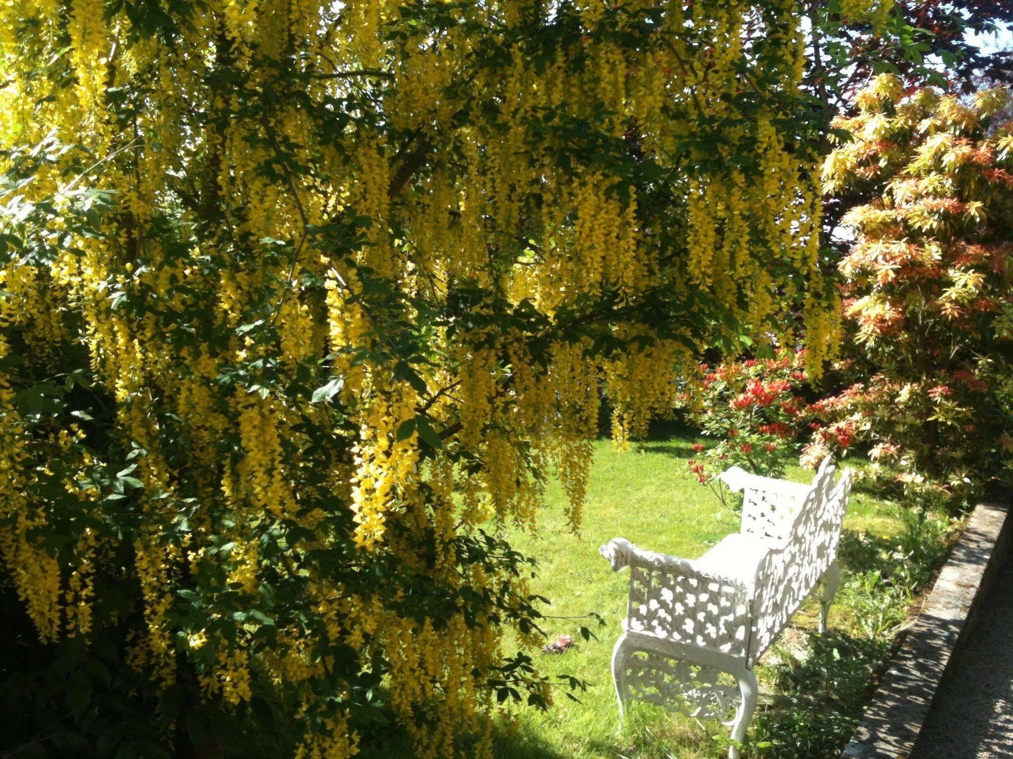 Charlemont House Moy Bed & Breakfast Eksteriør bilde